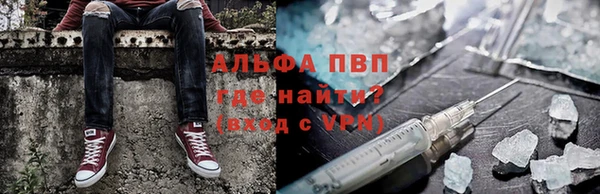 крисы Арсеньев